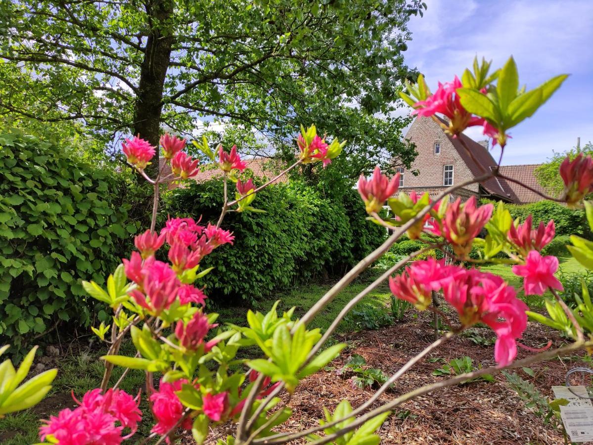 Manoir Du Kasteelveld 호텔 카셀 외부 사진