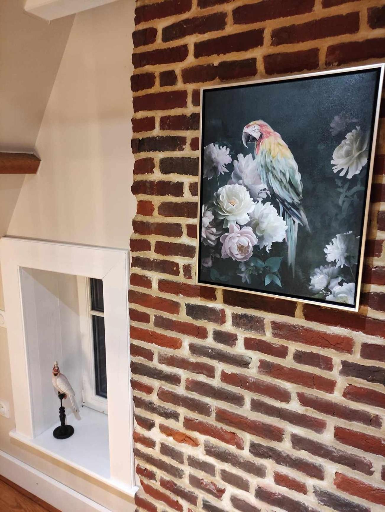 Manoir Du Kasteelveld 호텔 카셀 외부 사진